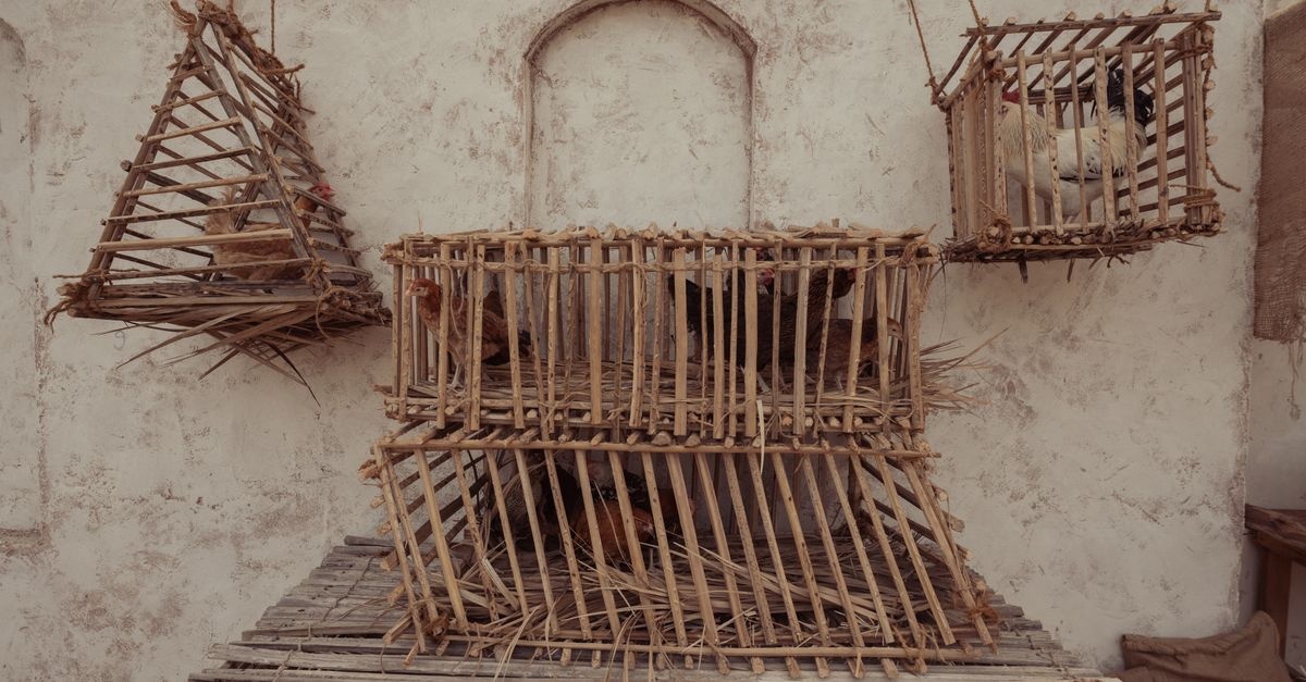 Doğadan Zarafet: Balkon ve Bahçenizi Dönüştürecek Bambu Kafes İlhamları