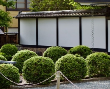 Köşede Saklı Zen: Evde Minik Japon Bahçesi Kurmanın İlham Veren Yolları